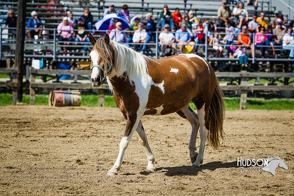 LCFAIR14-3172.jpg