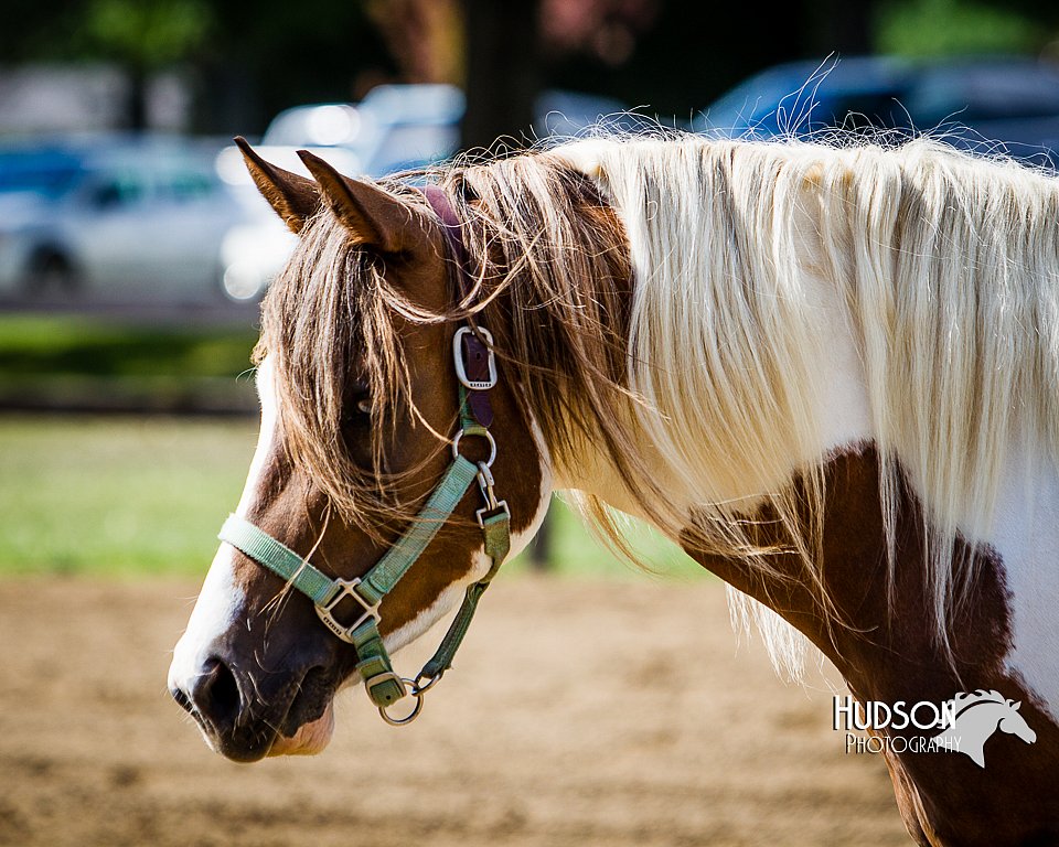 LCFAIR14-3174.jpg