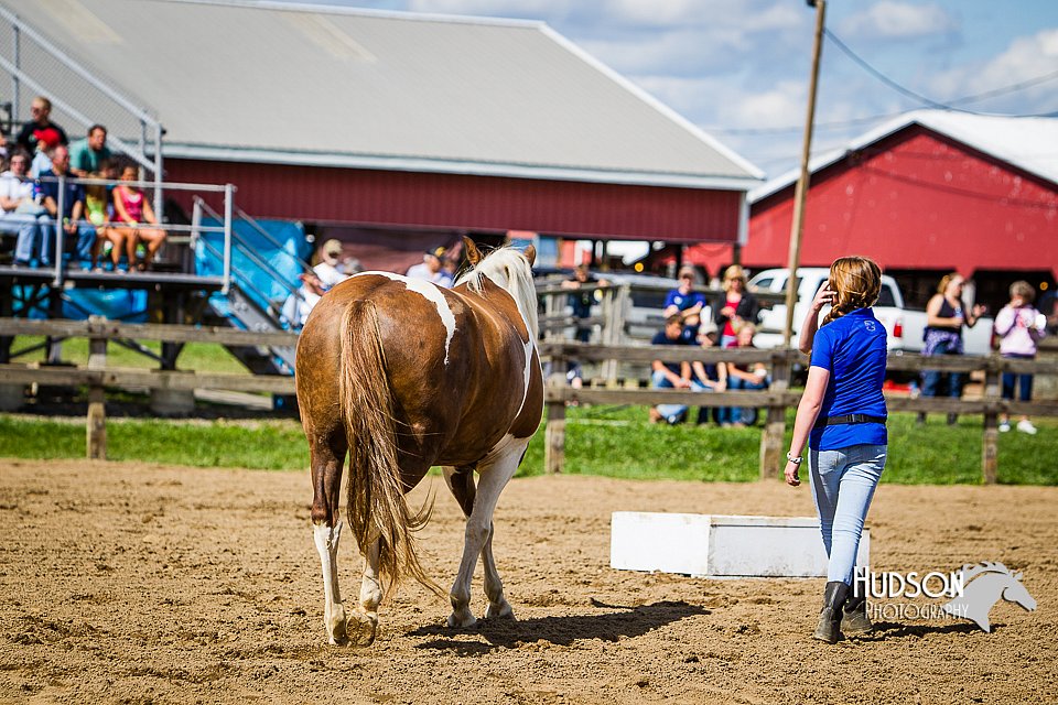 LCFAIR14-3179.jpg