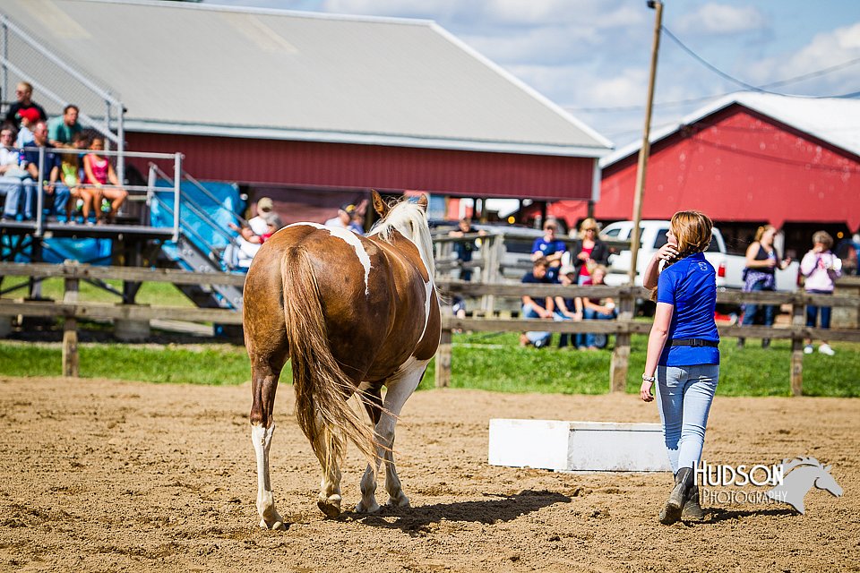 LCFAIR14-3180.jpg