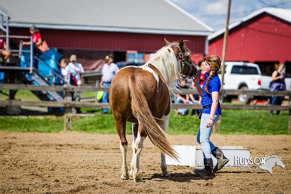LCFAIR14-3181.jpg