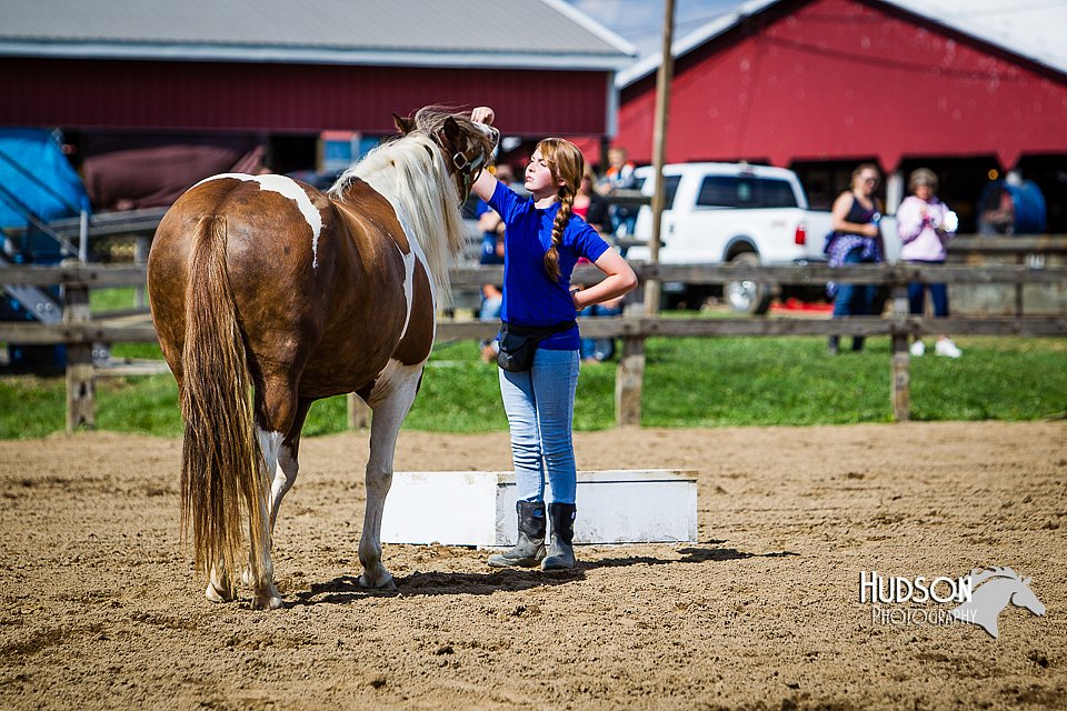 LCFAIR14-3185.jpg