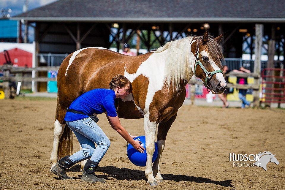 LCFAIR14-3229.jpg
