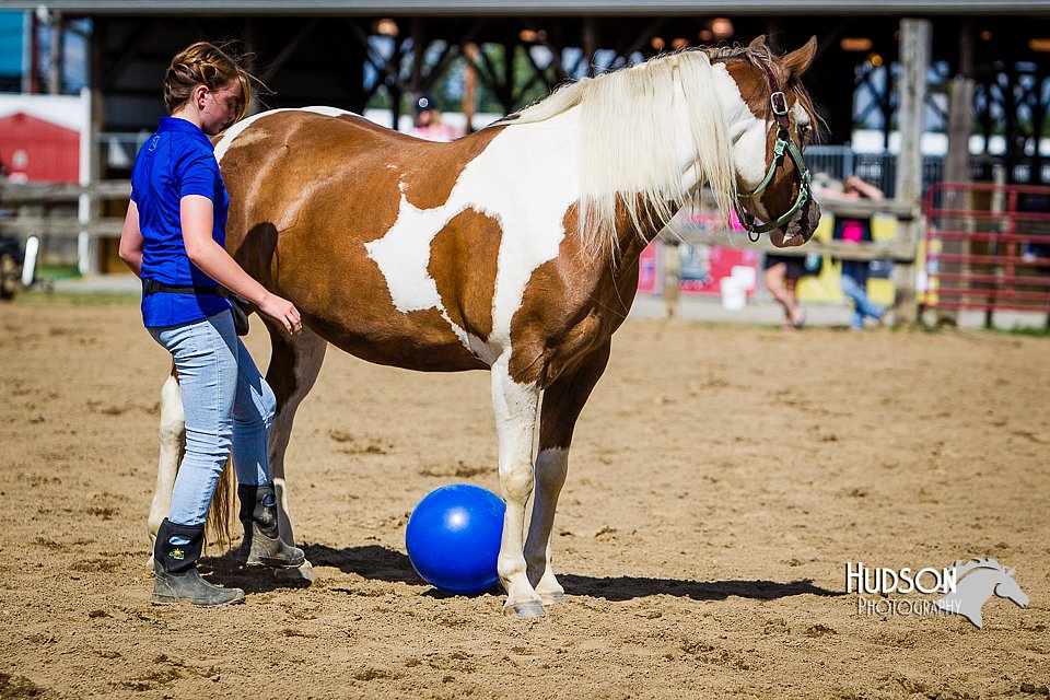 LCFAIR14-3231.jpg