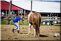 LCFAIR14-3044.jpg