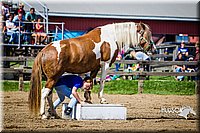 LCFAIR14-3098.jpg