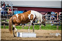LCFAIR14-3110.jpg