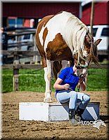 LCFAIR14-3169.jpg