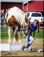 LCFAIR14-3170.jpg
