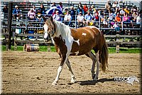 LCFAIR14-3172.jpg