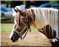 LCFAIR14-3174.jpg