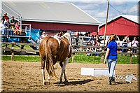 LCFAIR14-3179.jpg