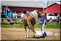 LCFAIR14-3182.jpg
