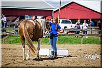 LCFAIR14-3184.jpg