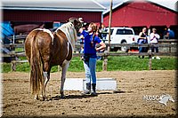 LCFAIR14-3185.jpg