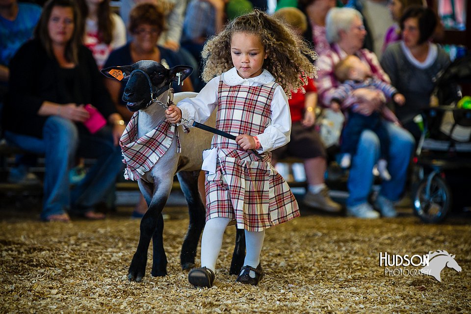LCFAIR14-5203.jpg