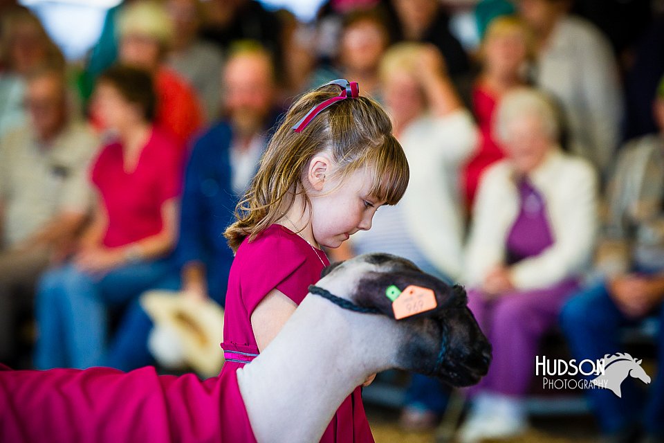 LCFAIR14-5222.jpg