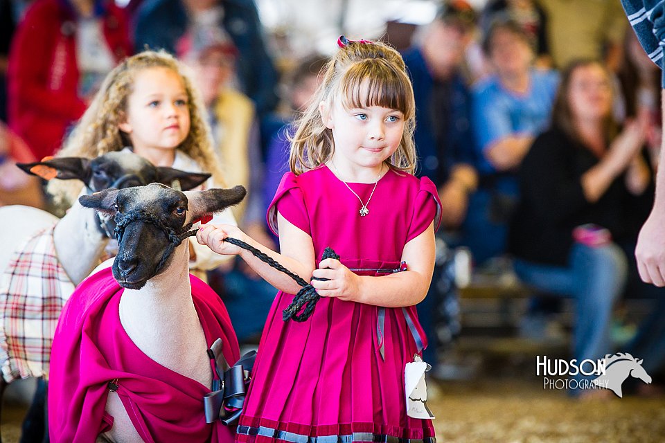 LCFAIR14-5236.jpg