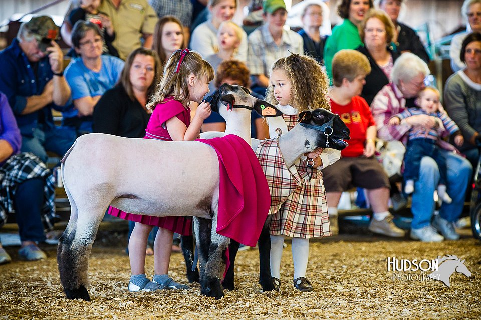 LCFAIR14-5240.jpg