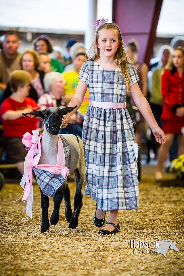 LCFAIR14-5309.jpg