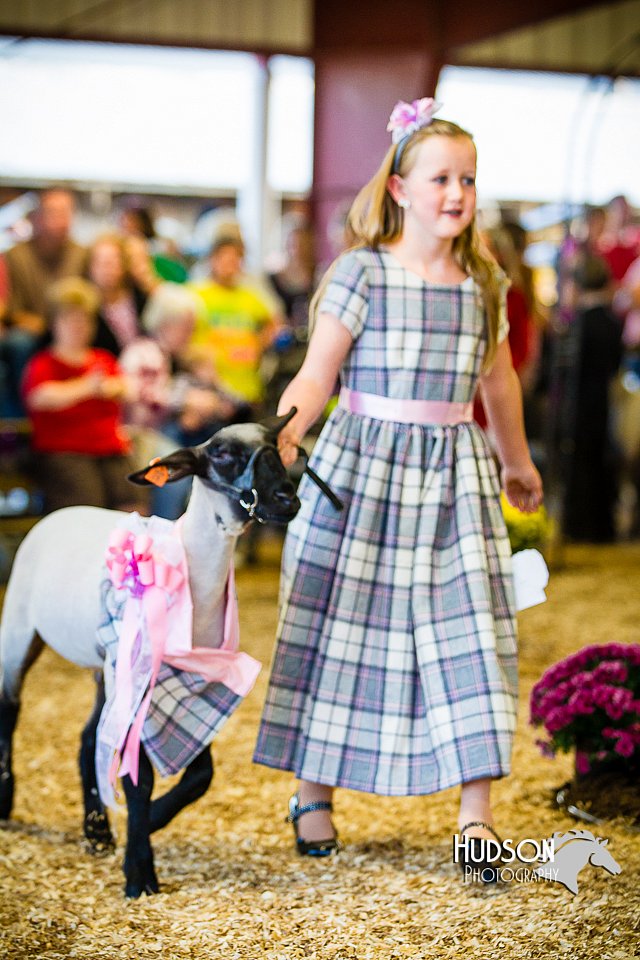 LCFAIR14-5312.jpg