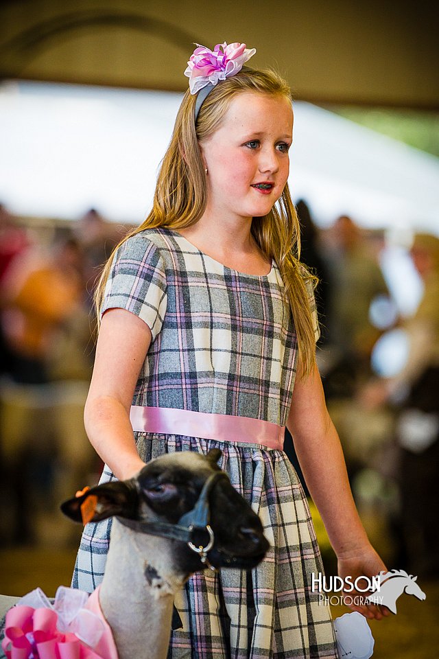 LCFAIR14-5313.jpg