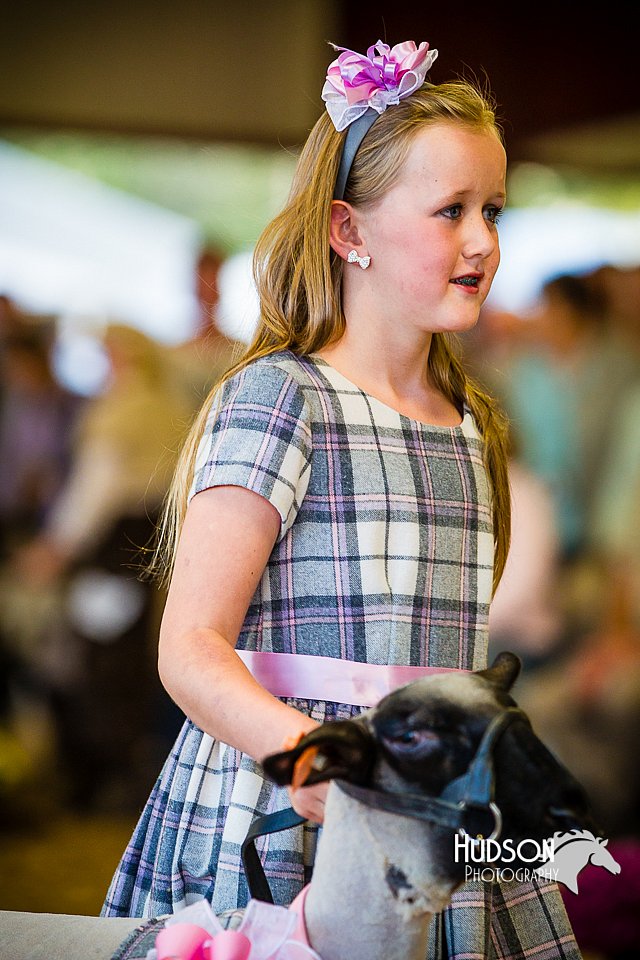 LCFAIR14-5314.jpg