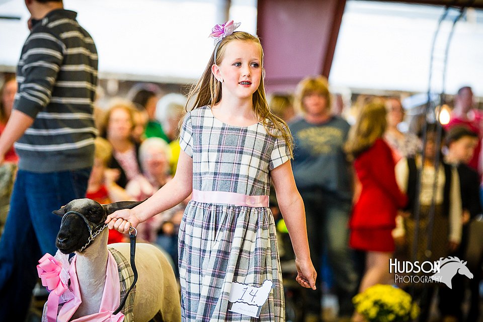LCFAIR14-5320.jpg