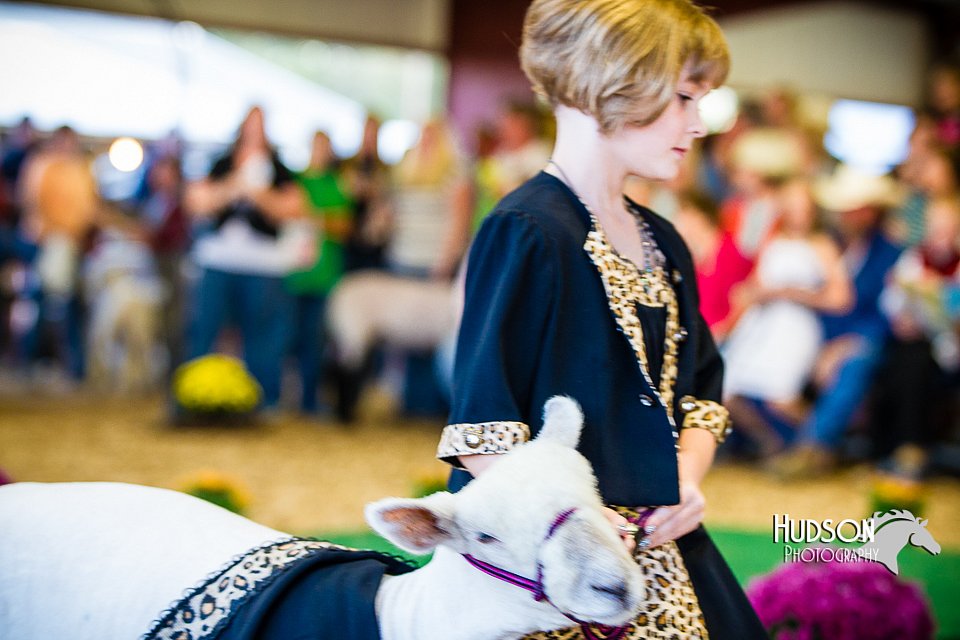 LCFAIR14-5337.jpg
