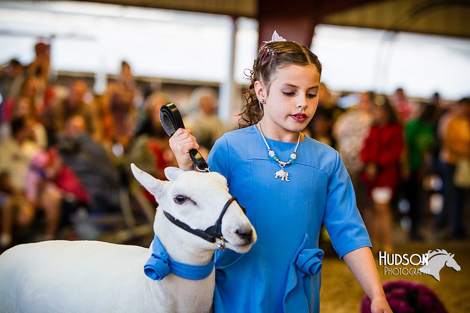 LCFAIR14-5339.jpg