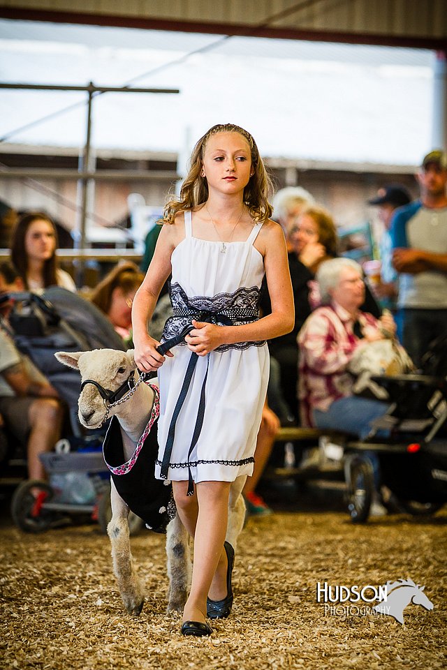 LCFAIR14-5384.jpg