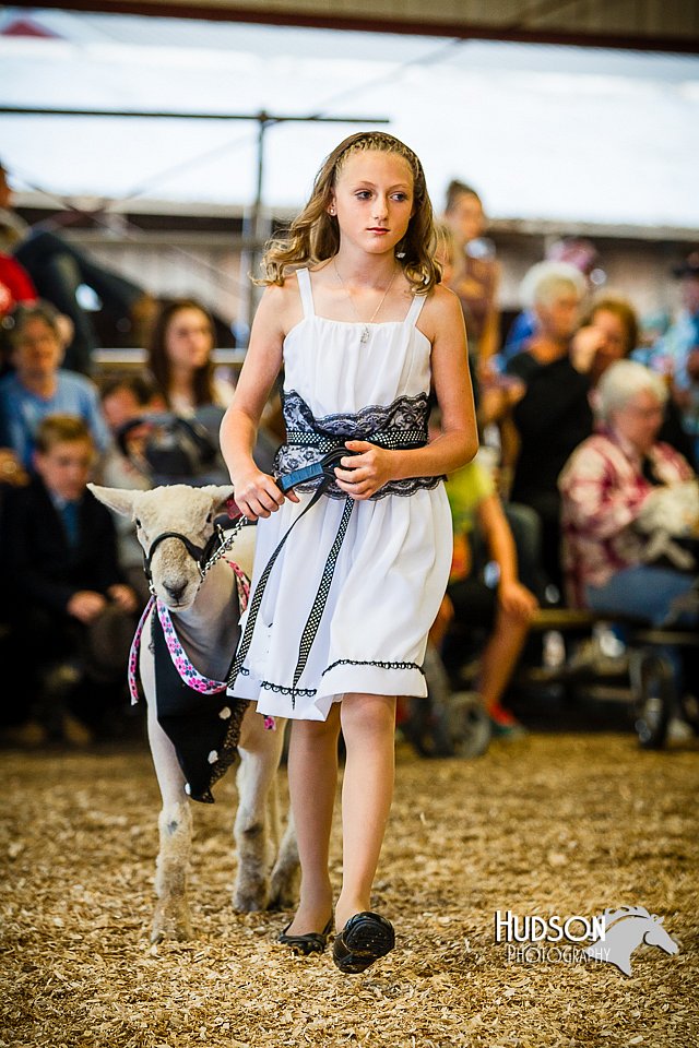 LCFAIR14-5385.jpg