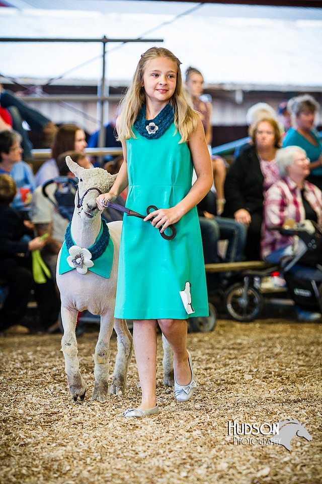 LCFAIR14-5399.jpg