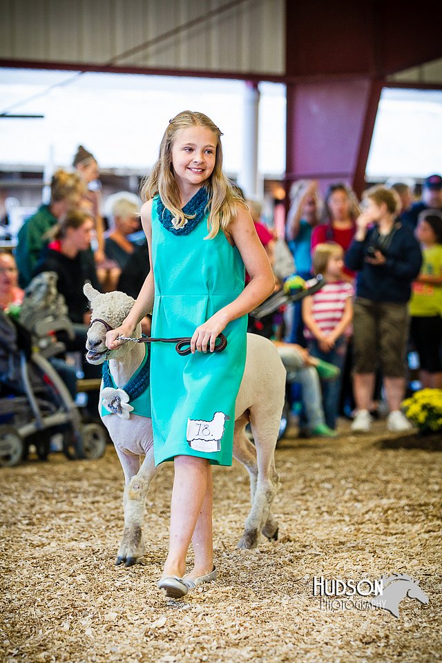 LCFAIR14-5405.jpg