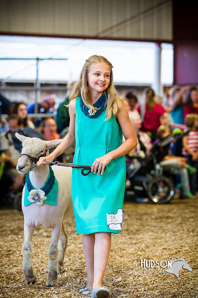 LCFAIR14-5406.jpg