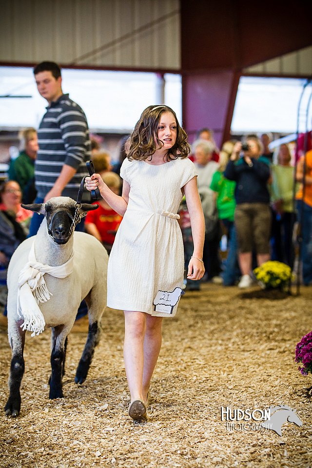LCFAIR14-5445.jpg