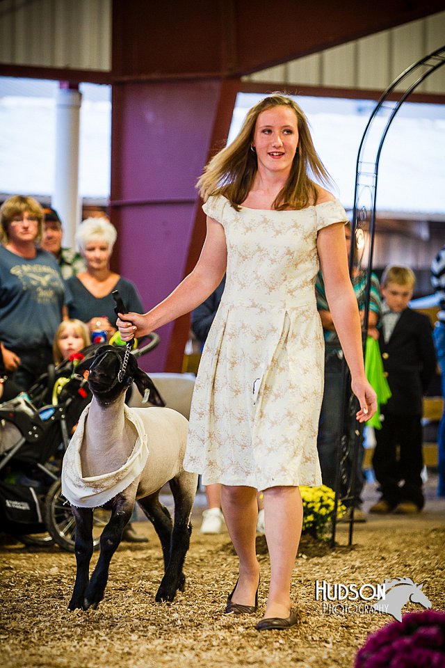 LCFAIR14-5503.jpg
