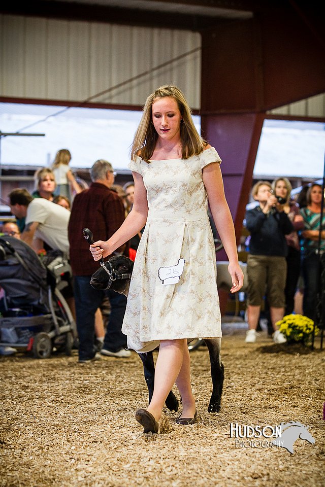 LCFAIR14-5505.jpg