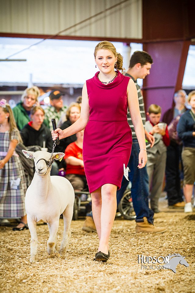 LCFAIR14-5524.jpg