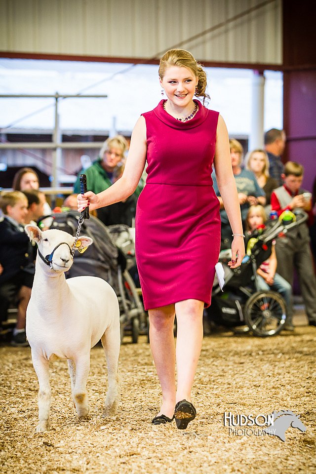 LCFAIR14-5525.jpg