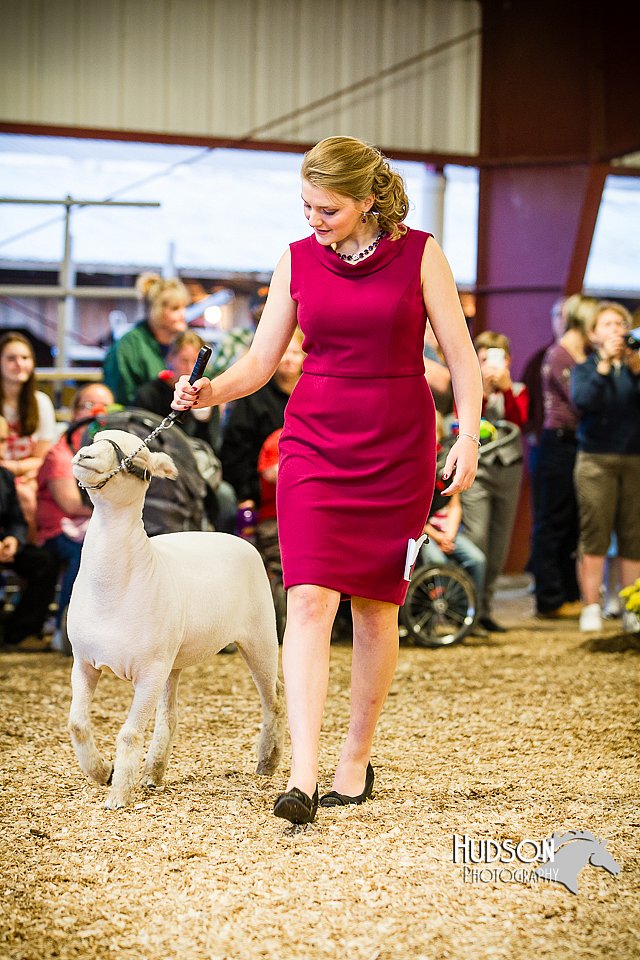 LCFAIR14-5531.jpg