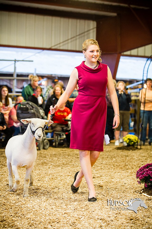 LCFAIR14-5532.jpg