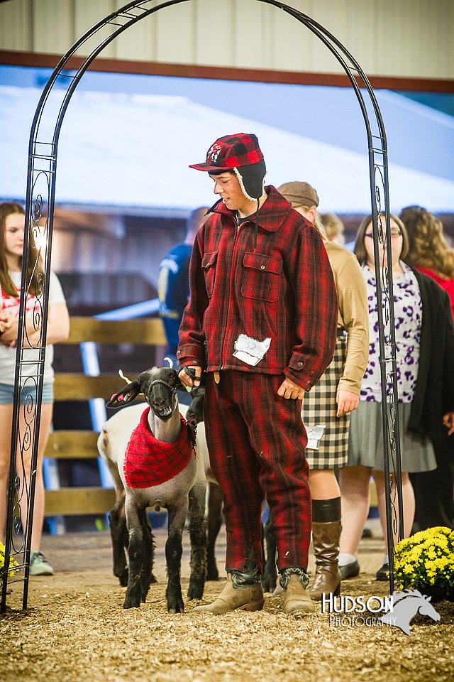 LCFAIR14-5580.jpg