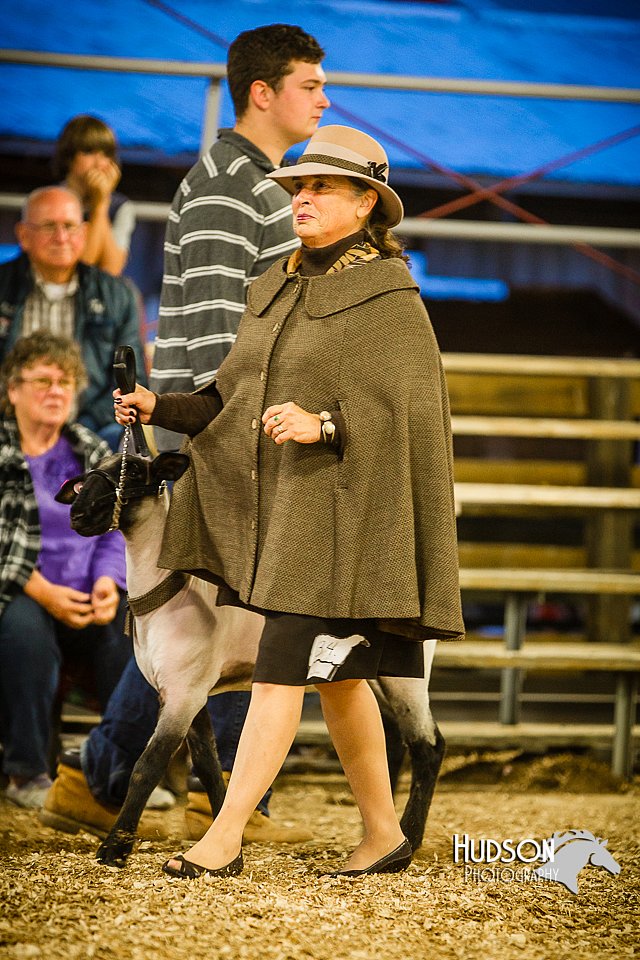 LCFAIR14-5649.jpg