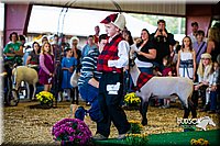 LCFAIR14-5162.jpg