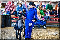 LCFAIR14-5252.jpg