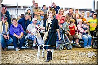 LCFAIR14-5256.jpg