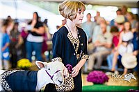 LCFAIR14-5260.jpg