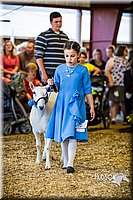 LCFAIR14-5266.jpg