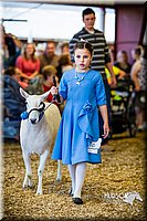 LCFAIR14-5267.jpg